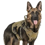 Military Elite Tactical Dog Harness Set