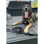 Green Tactical Adjustable Dog Collar with Quick-Release Buckle - Image 4