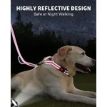 Reflective Martingale Escape-Proof Collar with 2 Handles - 16"-20" and Leash (5ft x 1") - Image 5