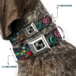 Metal Buckle Dog Collar with Seatbelt Clasp - 15 to 24 Inches 1.0 Inch Wide - Image 2