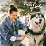 Professional Adjustable Pinch Training Collar for Dogs - Image 6