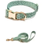 Polka Dot Print Dog Collar with Metal Buckle and 6ft leash Teal Green
