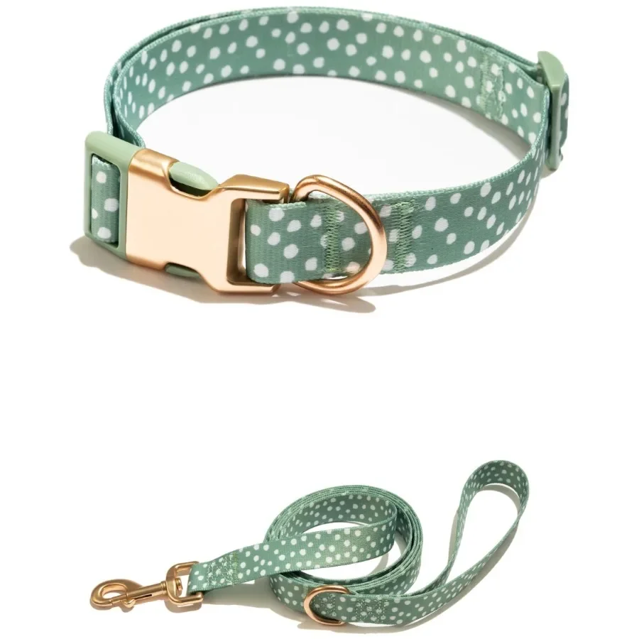 kf-S34427b8d9950477ebb78cc5b9af7fc4dz Polka Dot Print Dog Collar with Metal Buckle and 6ft leash Teal Green - Image 1
