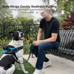 Essential No-Pull Dog Harness with 3 Leash Clips - Image 2
