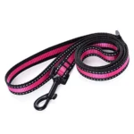 Adjustable Nylon Small Puppy Pet Dog Combo Collar Leash and Harness Set - Image 5