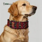 Bohemian Dog Collar Ethnic Print Military Grade D-Ring for Large Dogs