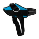 Essential No-Pull Dog Harness with 3 Leash Clips