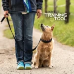 Professional Adjustable Pinch Training Collar for Dogs - Image 2