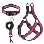 Adjustable Nylon Small Puppy Pet Dog Combo Collar Leash and Harness Set