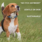 Adjustable Cotton Hemp Dog Collar & Leash Set - Image 4