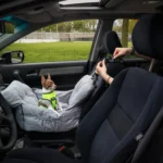 Water-Resistant, Machine Washable Premium Dog Car Seat Travel Bed for Small Pets - Image 2