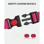 Reflective Martingale Escape-Proof Collar with 2 Handles - 16"-20" and Leash (5ft x 1") - Image 3