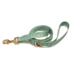 Polka Dot Print Dog Collar with Metal Buckle and 6ft leash Teal Green - Image 3