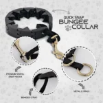 Professional Adjustable Pinch Training Collar for Dogs - Image 5