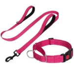 Reflective Martingale Escape-Proof Collar with 2 Handles - 16"-20" and Leash (5ft x 1")
