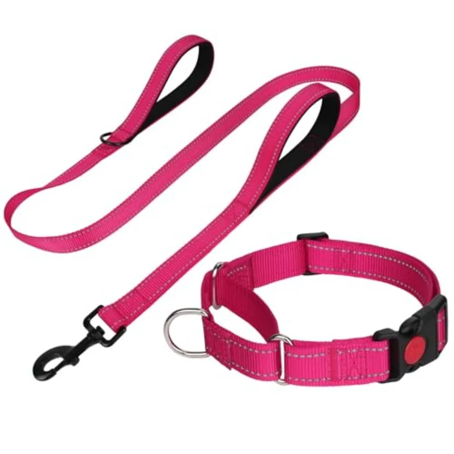 kf-Sc2164a9e8bcb45b78900fe8f799de403s Reflective Martingale Escape-Proof Collar with 2 Handles - 16"-20" and Leash (5ft x 1") - Image 1