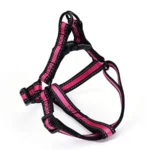 Adjustable Nylon Small Puppy Pet Dog Combo Collar Leash and Harness Set - Image 4