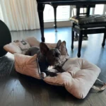 Water-Resistant, Machine Washable Premium Dog Car Seat Travel Bed for Small Pets - Image 3