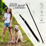 Professional Adjustable Pinch Training Collar for Dogs - Image 3