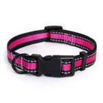 Adjustable Nylon Small Puppy Pet Dog Combo Collar Leash and Harness Set - Image 3