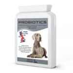 Dog Sport PRObiotics