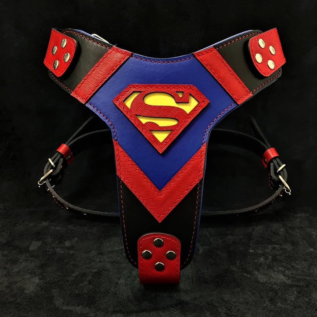 139167518-216072960181705-8262766364164930307-n-2086.jpg Superdog Harness - Image 1