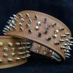 The "Crown" collar - Image 2