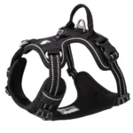 Black No Pull Harness - Image 2