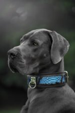 The ''Morelia Python'' leash - Image 2