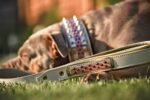 The Candy Dog Collar - Image 5