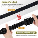 Dog Seat Belt Set - Image 4