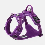 Lavender No Pull Harness - Image 2