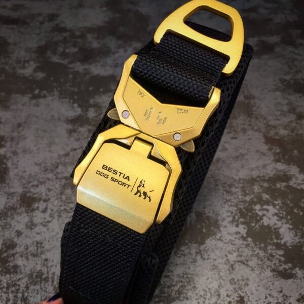 DOG SPORT FAST RELEASE COLLAR BLACK & GOLD