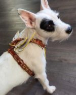The "Hermeses" leather harness - Small to Medium Size - Image 4