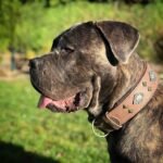 "Aztec" grey dog collar - Image 2