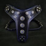 ''Bijou'' harness Black & Blue for big dogs
