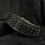 ''Black Giant'' collar
