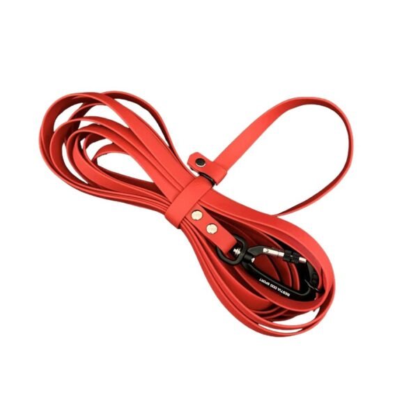 Multifunctional Drag Leash