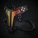 The ''D`Albertis'' harness Medium Size