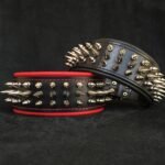 "Danger" collar - Image 9