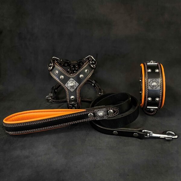"EROS" Small to Medium dog SET - Harness - collar - lead Black&Orange