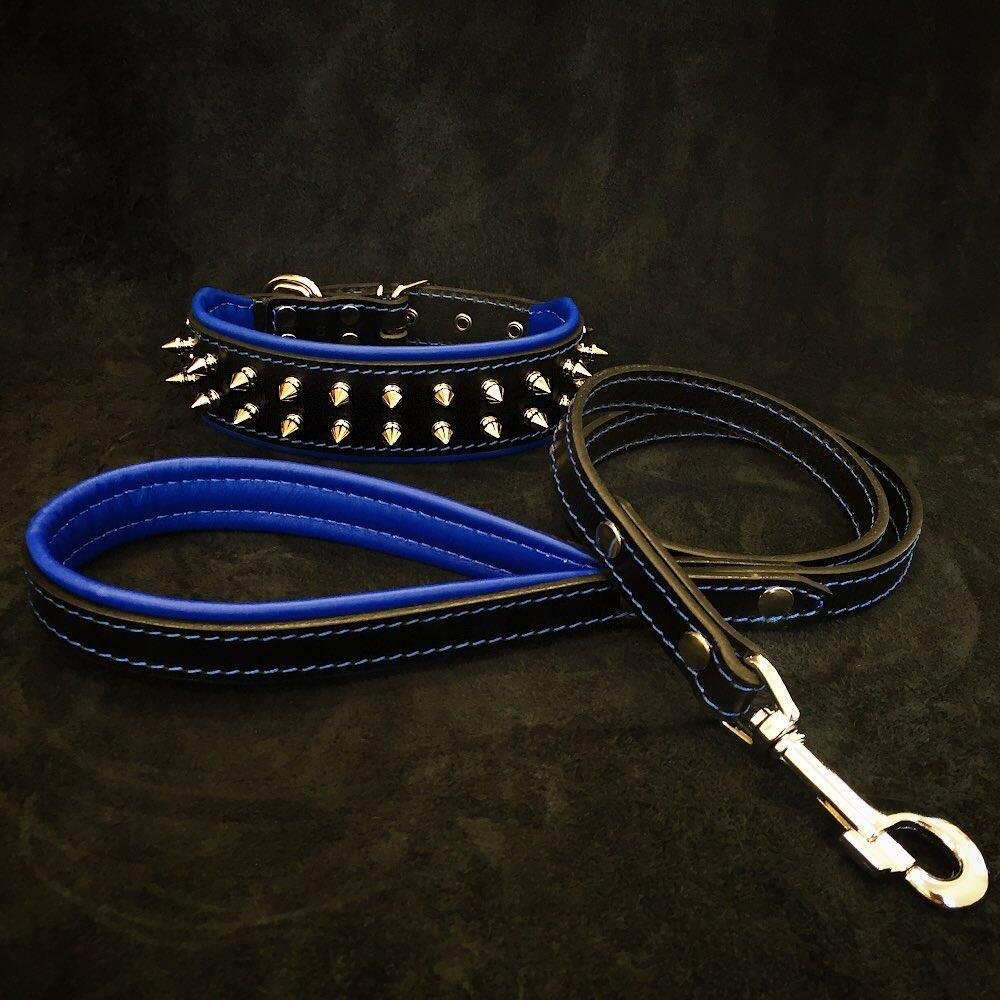 frenchie-set-collar-leash-blue-196918.jpg "Frenchie" Set- collar & leash. Blue - Image 1