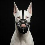 ''Eros'' Basket Muzzle All Black - Image 2
