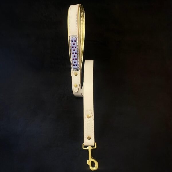 The Candy Leash