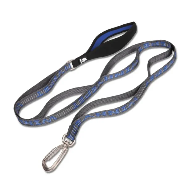 Royal Blue Reflective Lightweight Leash