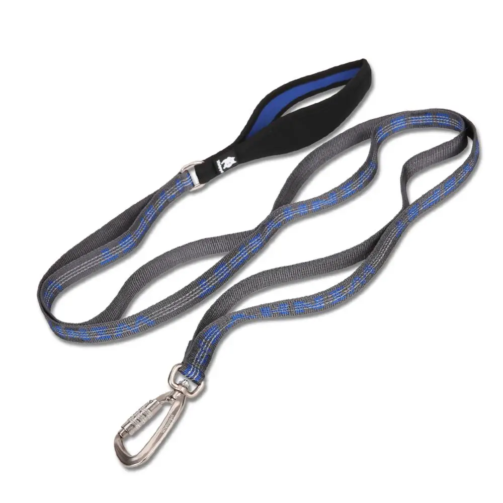 kf-H0dfc33cdbea04eea87917e2211fe0f30j Royal Blue Reflective Lightweight Leash - Image 1