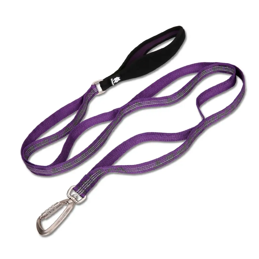 kf-H71d2626e9c6e4e90bacebf16508daa90W Purple Reflective Lightweight Leash - Image 1