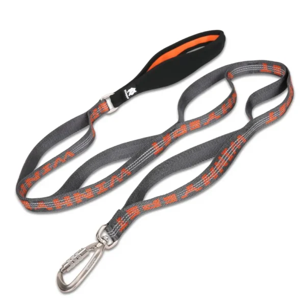 Tangerine Reflective Lightweight Leash