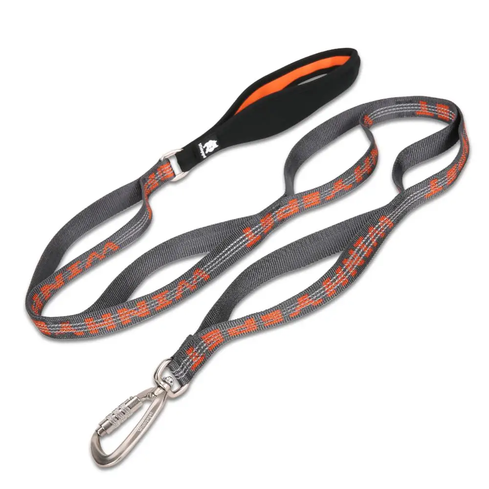 kf-H97a9e865fbbd44559a5de3e82e851a1eJ Tangerine Reflective Lightweight Leash - Image 1