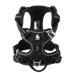 Black No Pull Harness